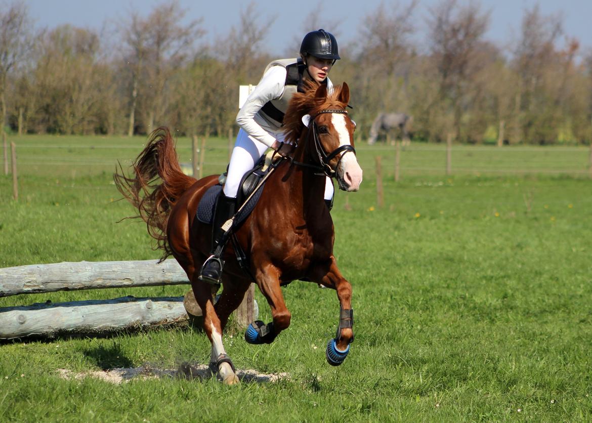 Terrænridning og Subaru Cup |  Emma Lindgreen Photography billede 94