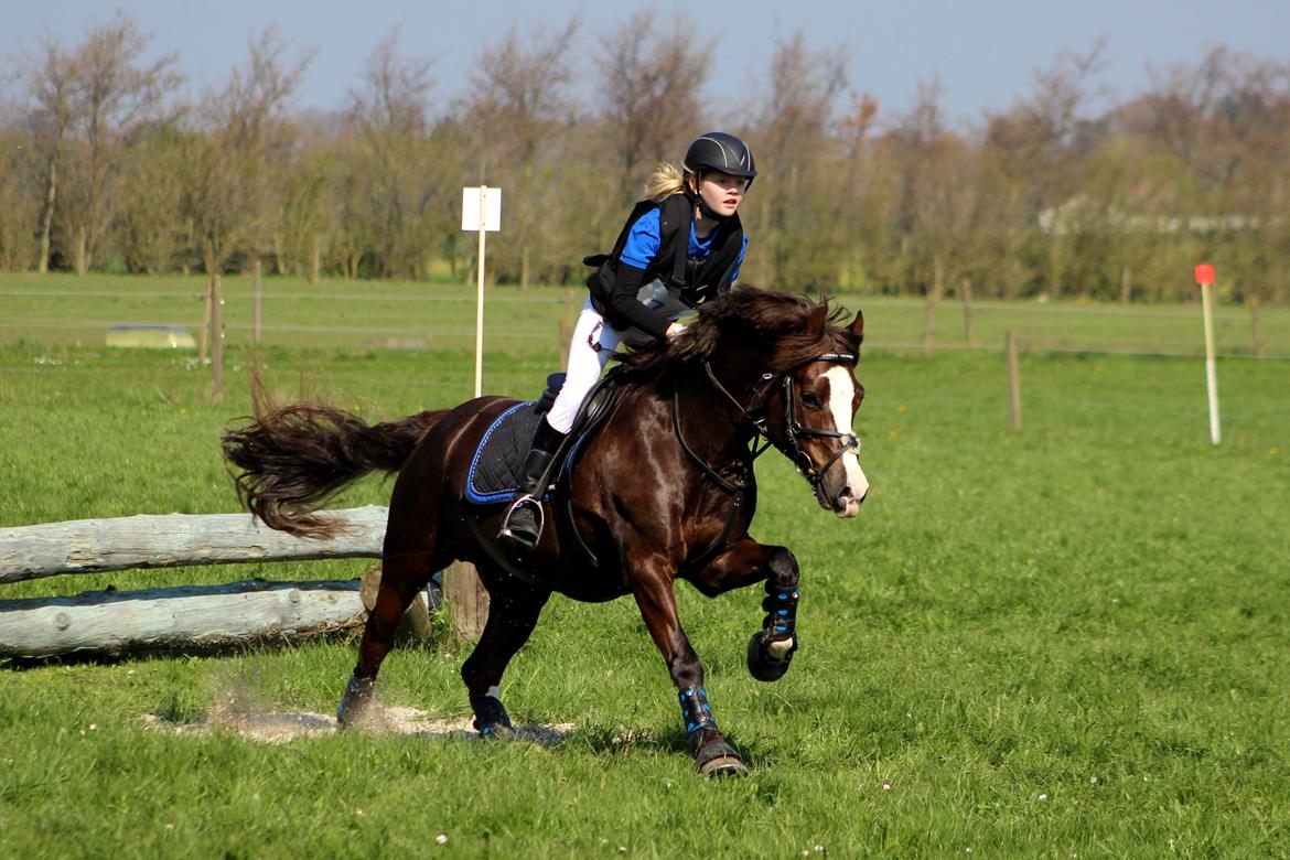 Terrænridning og Subaru Cup |  Emma Lindgreen Photography billede 99