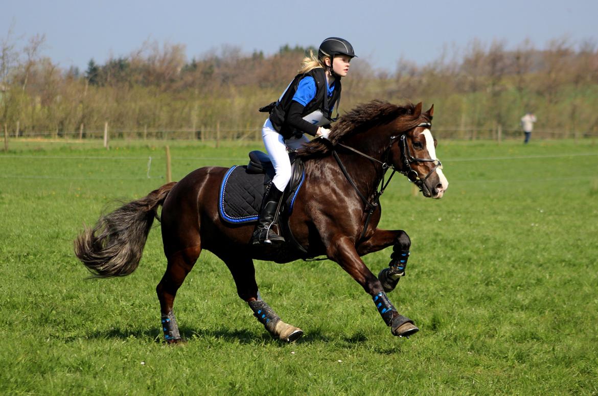 Terrænridning og Subaru Cup |  Emma Lindgreen Photography billede 100