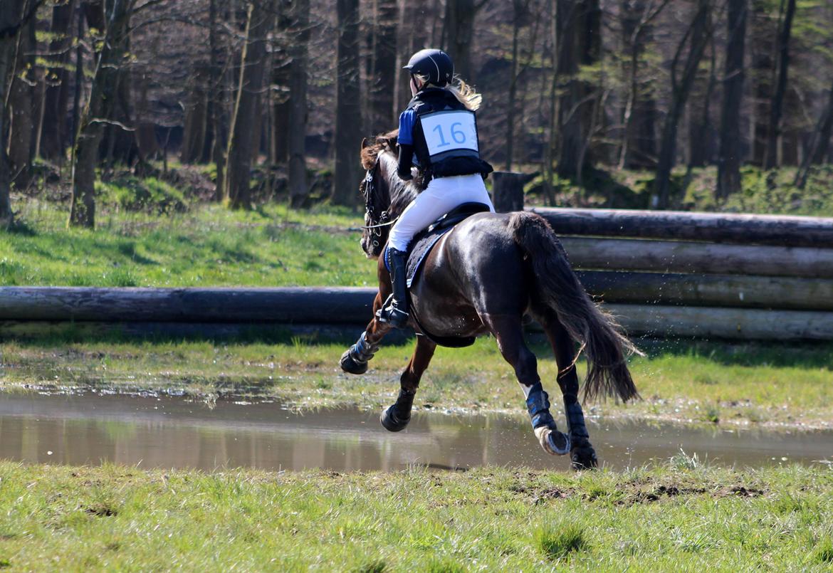 Terrænridning og Subaru Cup |  Emma Lindgreen Photography billede 101
