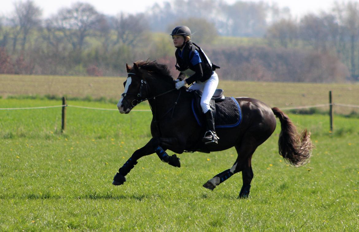 Terrænridning og Subaru Cup |  Emma Lindgreen Photography billede 102