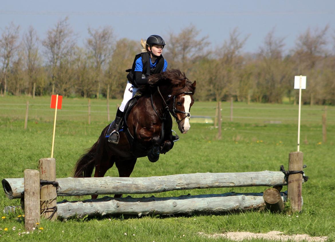 Terrænridning og Subaru Cup |  Emma Lindgreen Photography billede 98