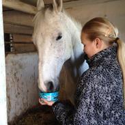 Min elskede hest Gizmo ????