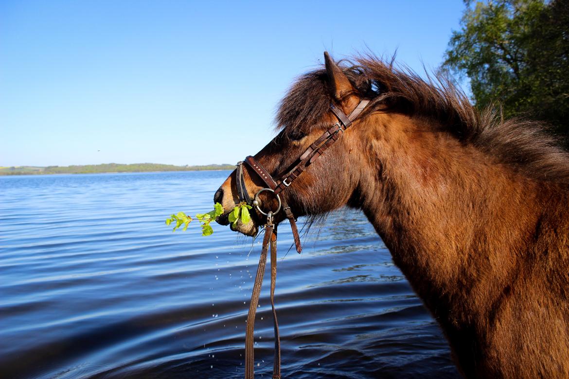 HNIE 13/14  billede 9