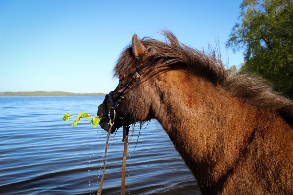 HNIE 13/14  billede 22