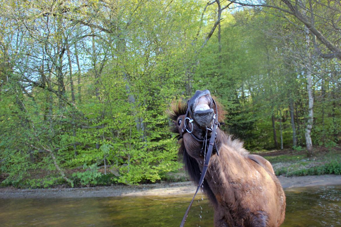 HNIE 13/14  billede 20