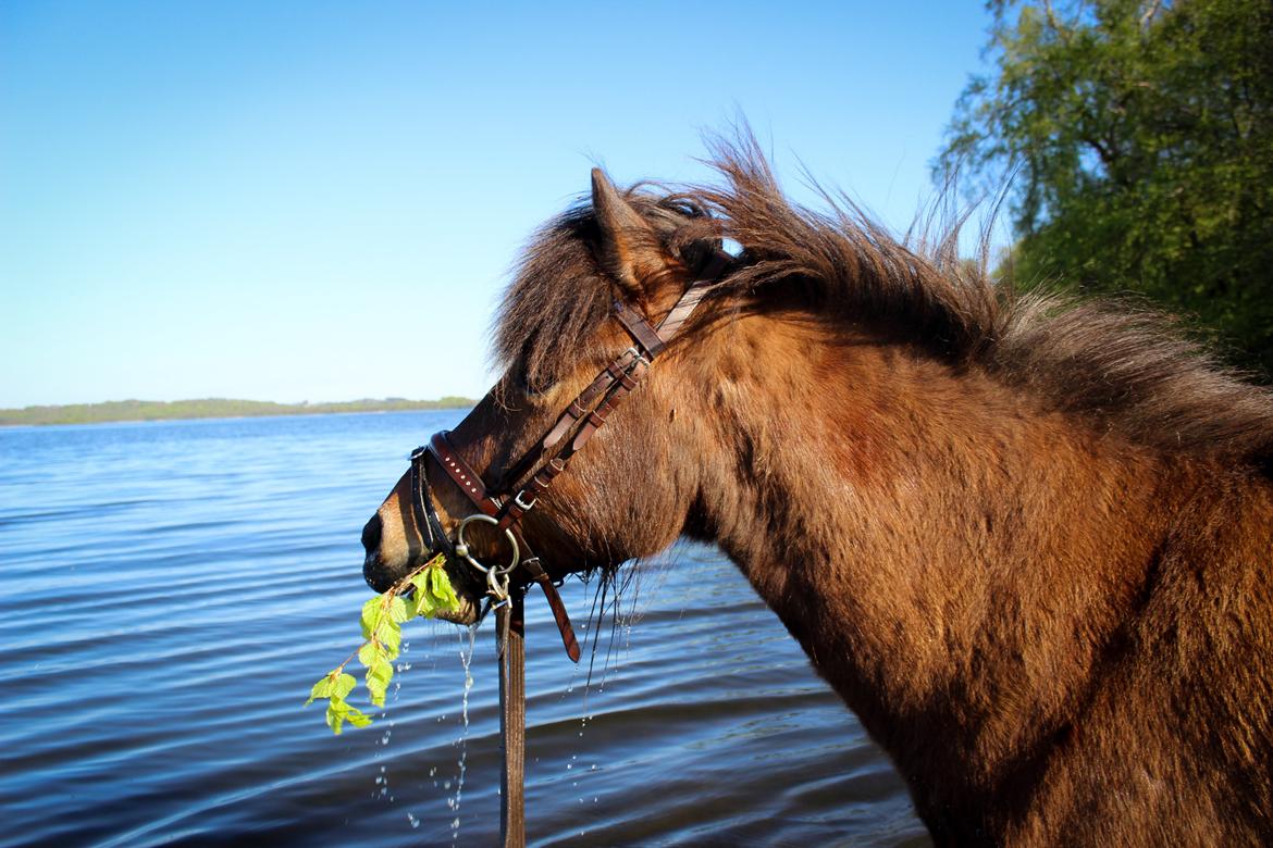 HNIE 13/14  billede 18