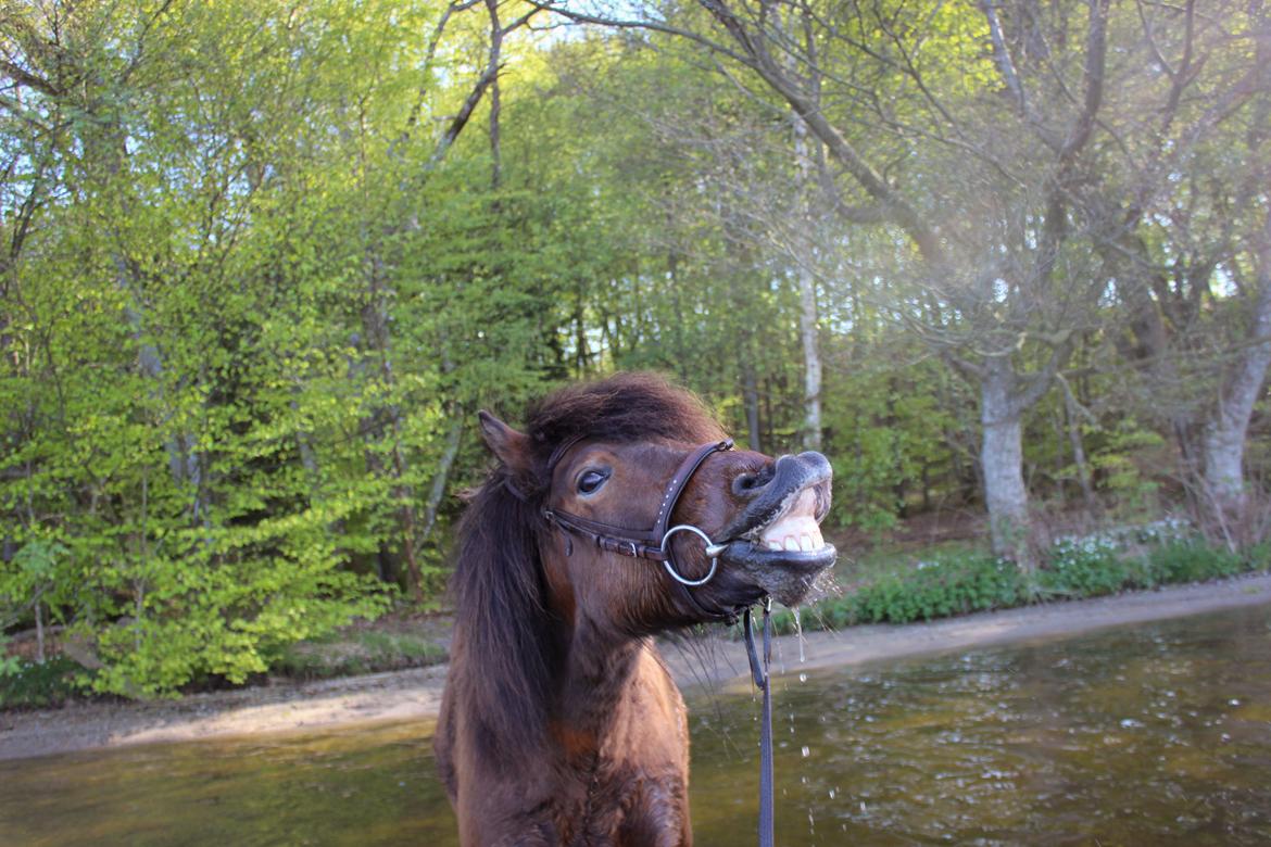 HNIE 13/14  billede 24