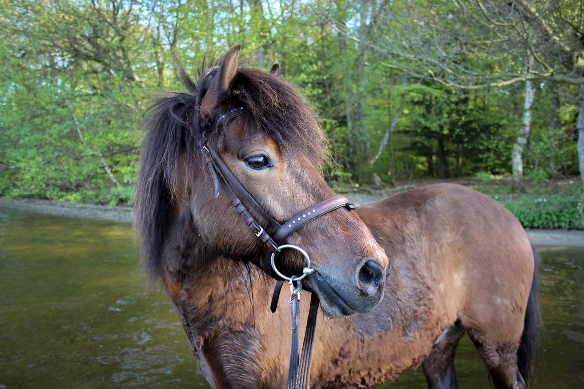 HNIE 13/14  billede 26