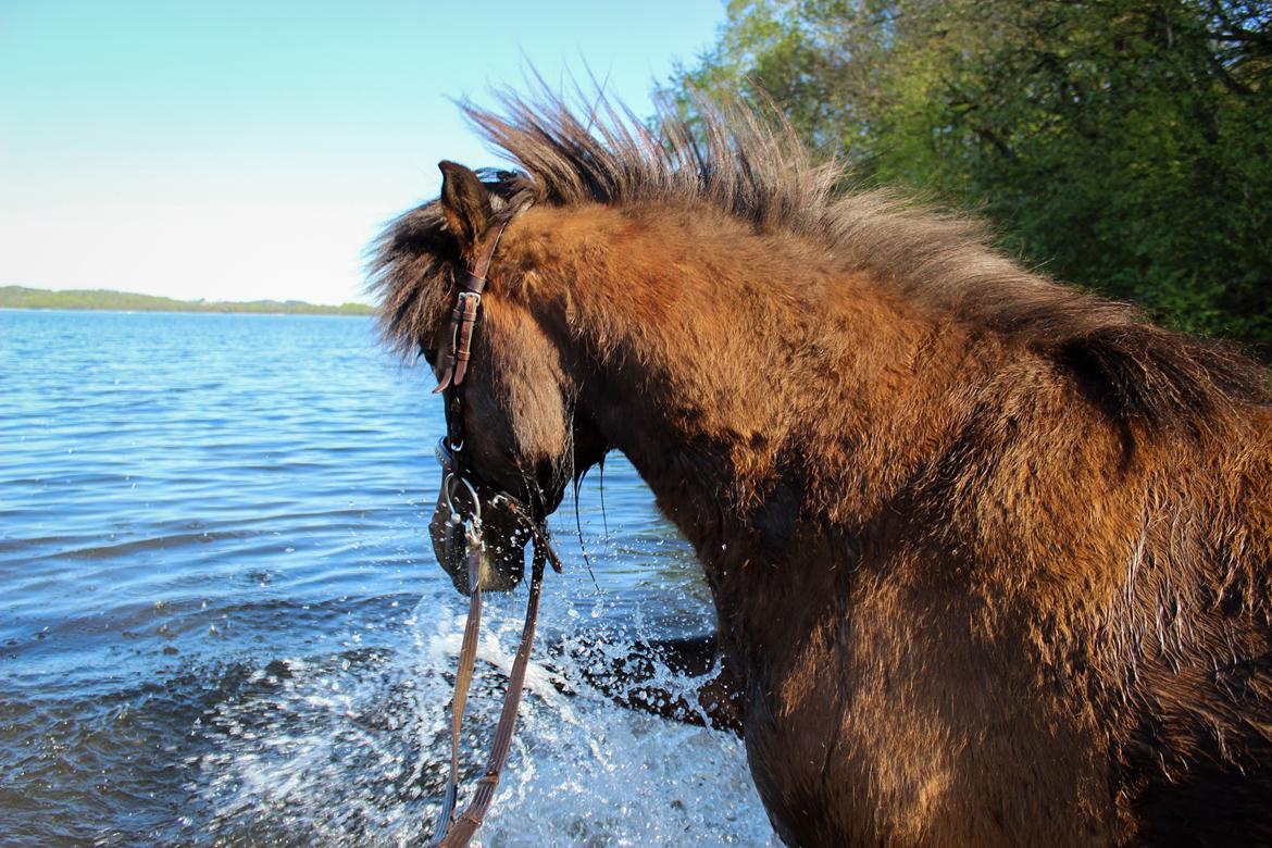 HNIE 13/14  billede 28