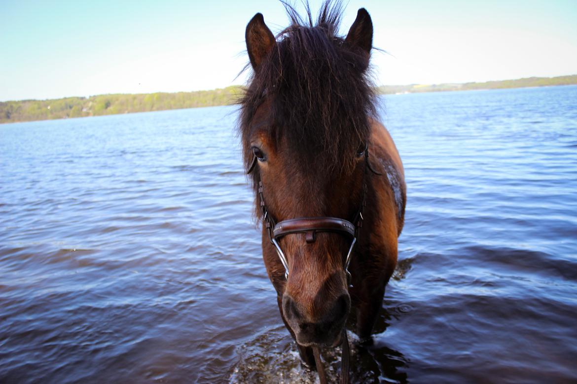 HNIE 13/14  billede 25