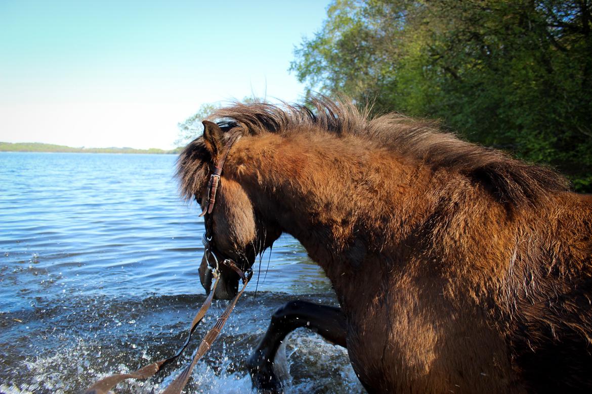 HNIE 13/14  billede 16