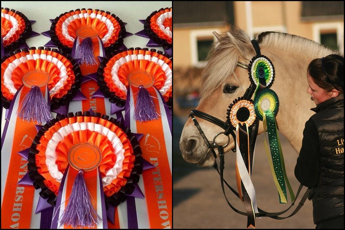 Mine Intershowhorse rosetter :-) - "Det bedste ved ridning" 6 plads med Højgaards Induc, oktober 2013! Dommerens kommentar: Skønt 	billede 	af 	en 	meget	 stolt 	ejer 	og 	hendes 	
smukke	 hest 	med	 flotte	 rosetter,	 hesten	 ser	 også	
ud	 til 	at 	være 	ret	 stolt 	af 	sin	 præstation. billede 4