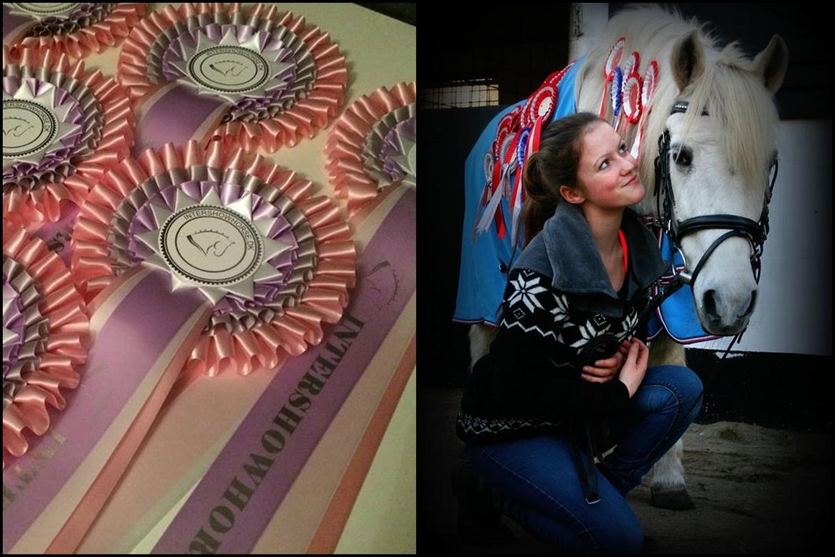 Mine Intershowhorse rosetter :-) billede 7