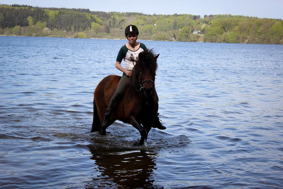 HNIE 13/14  billede 30