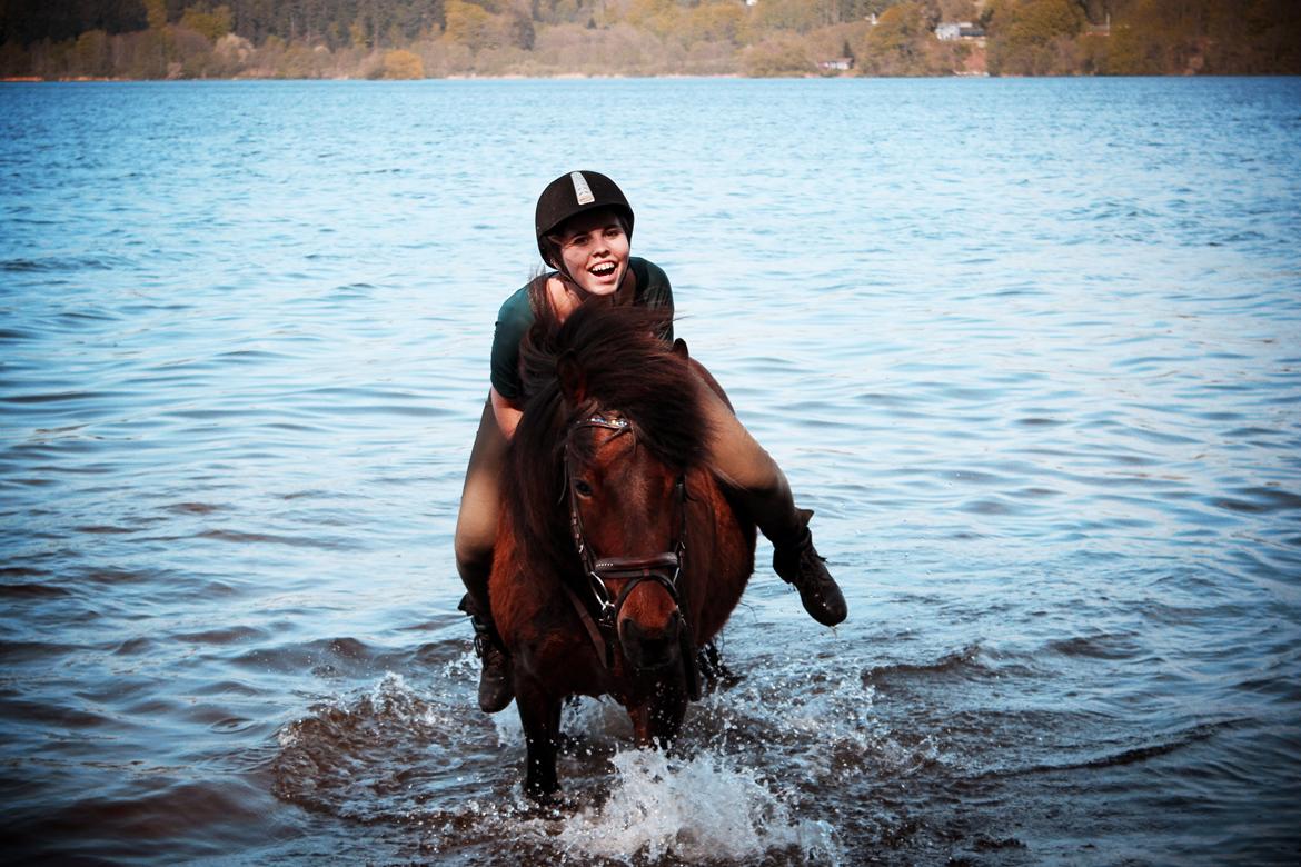 HNIE 13/14  billede 8