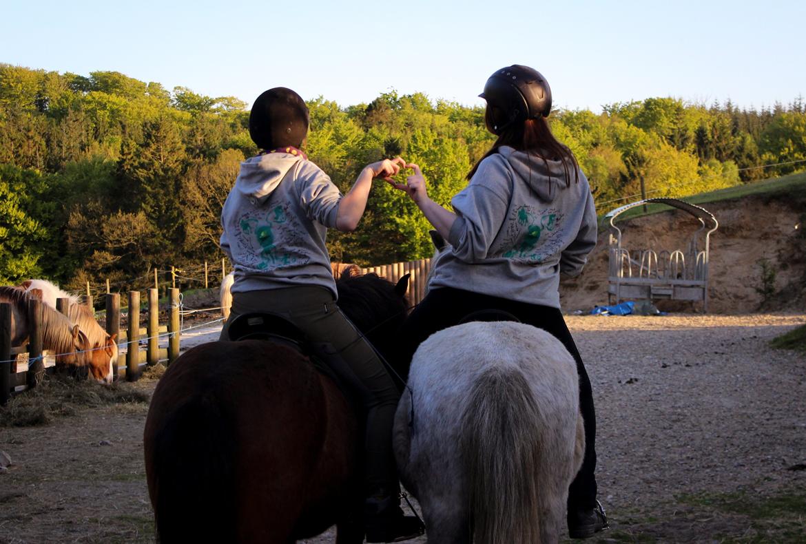 HNIE 13/14  billede 15