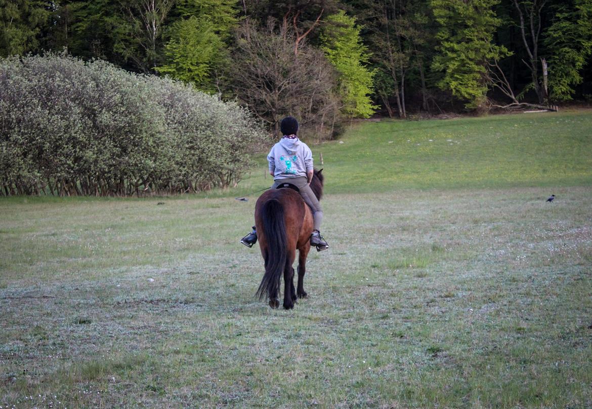 HNIE 13/14  billede 17