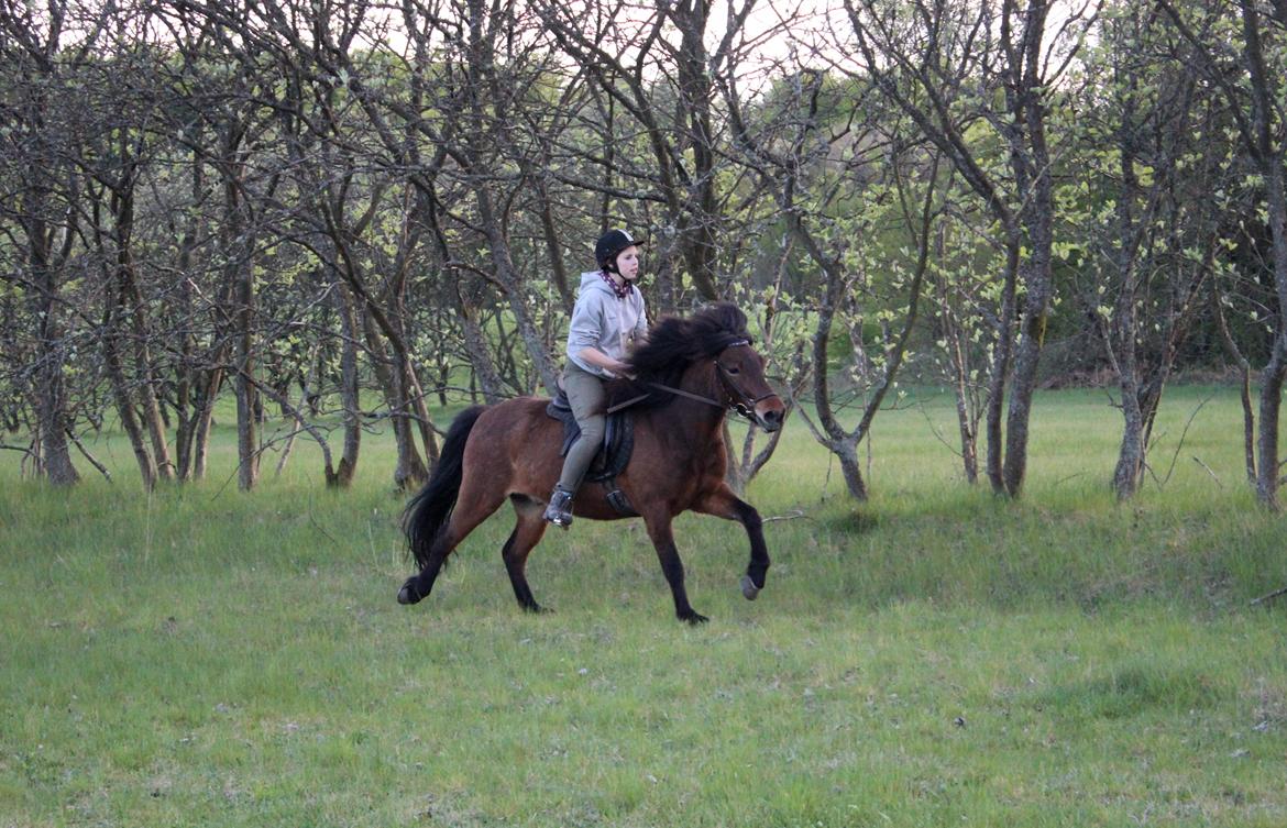 HNIE 13/14  billede 29