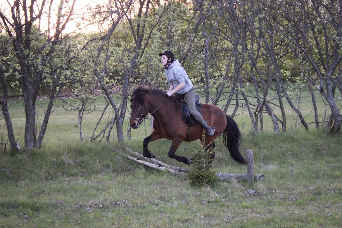 HNIE 13/14  billede 19