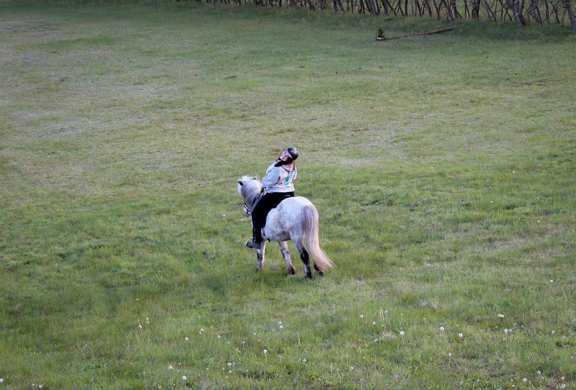 HNIE 13/14  billede 27