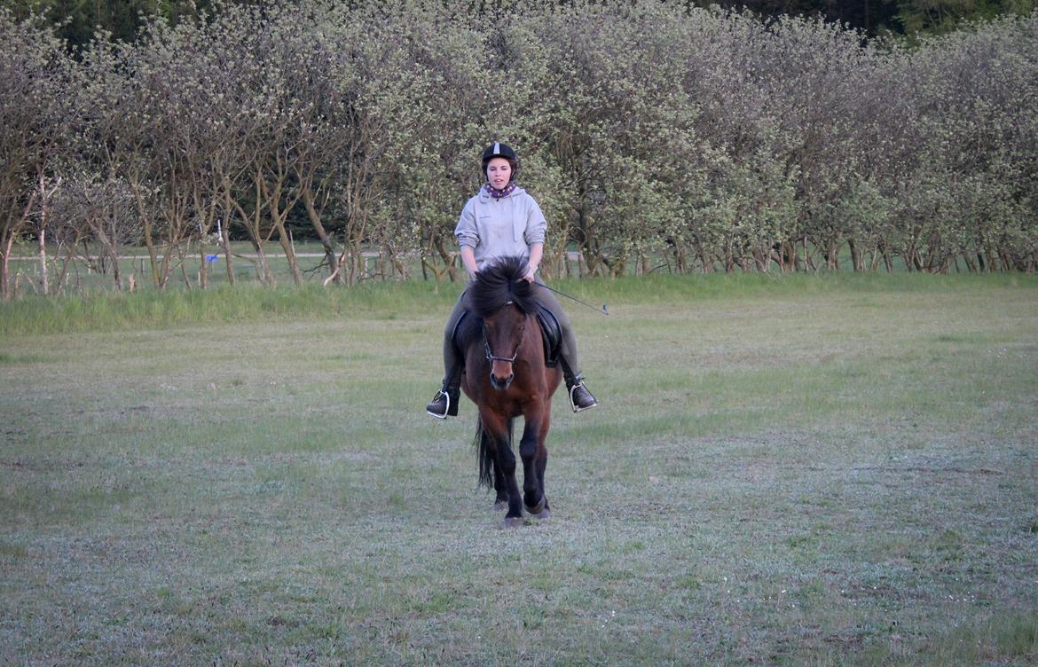 HNIE 13/14  billede 23