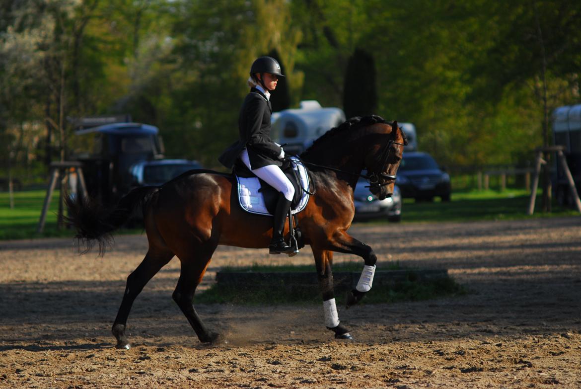 fronerthig revolution billede 5