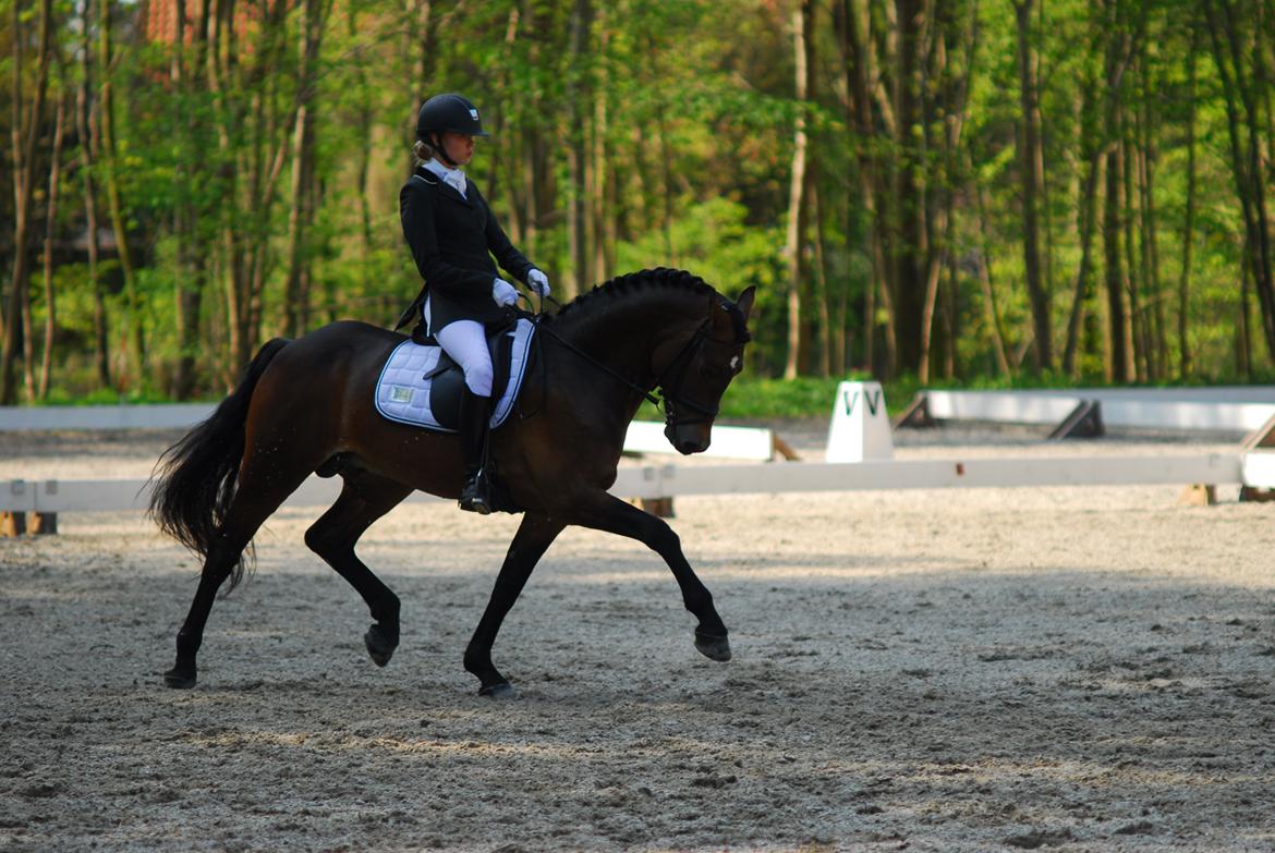 fronerthig revolution billede 1