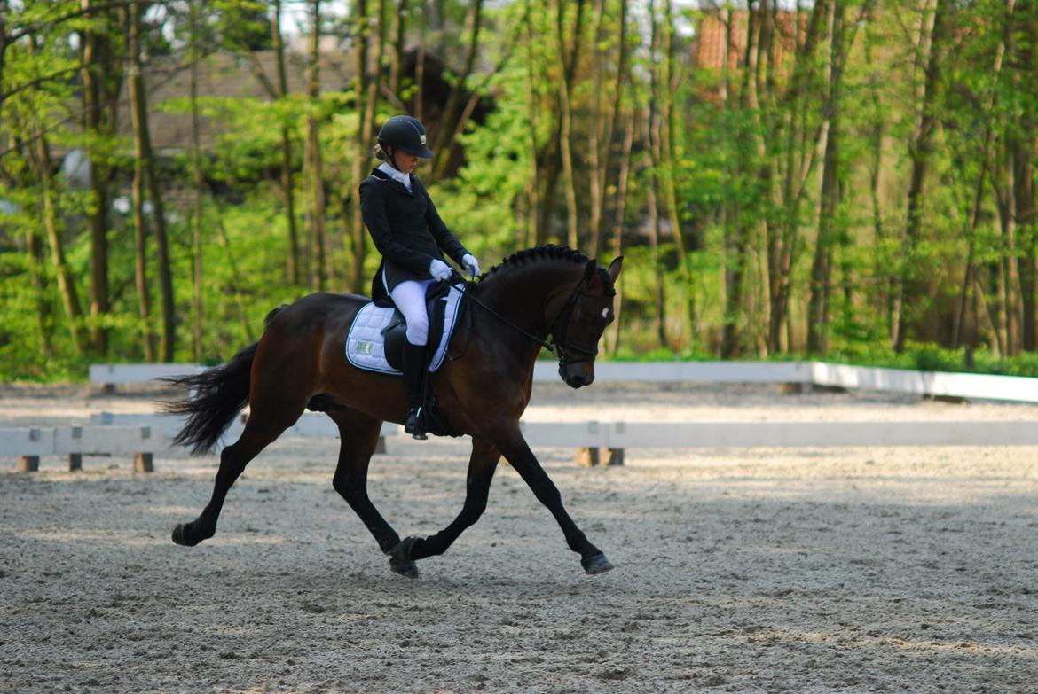 fronerthig revolution billede 3