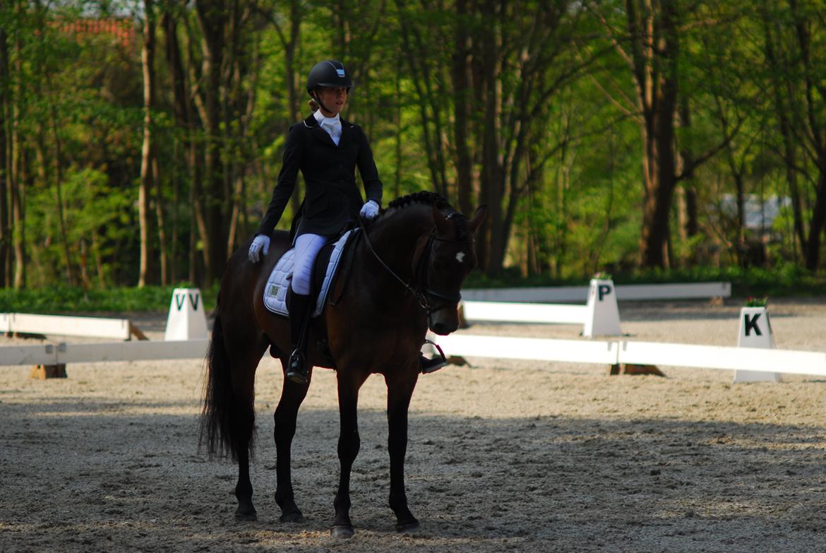 fronerthig revolution billede 4