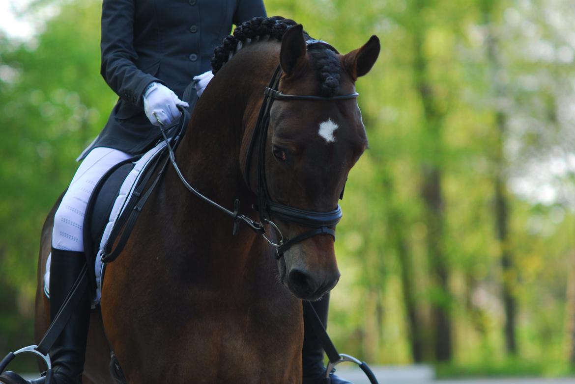 fronerthig revolution billede 2