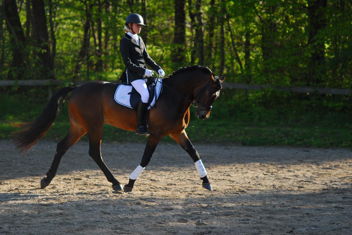 fronerthig revolution billede 6