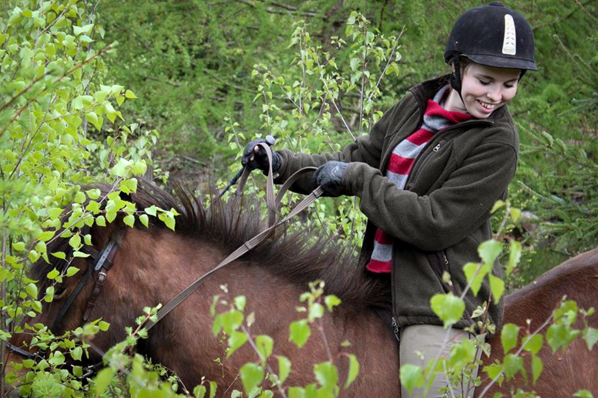 HNIE 13/14  billede 6