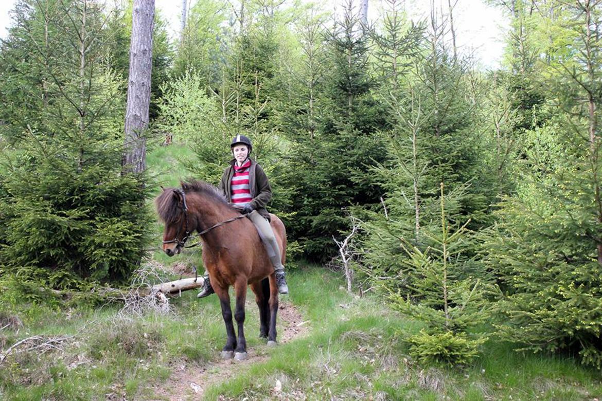 HNIE 13/14  billede 3