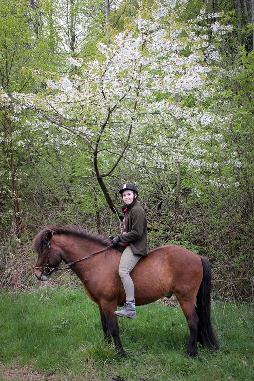 HNIE 13/14  billede 13