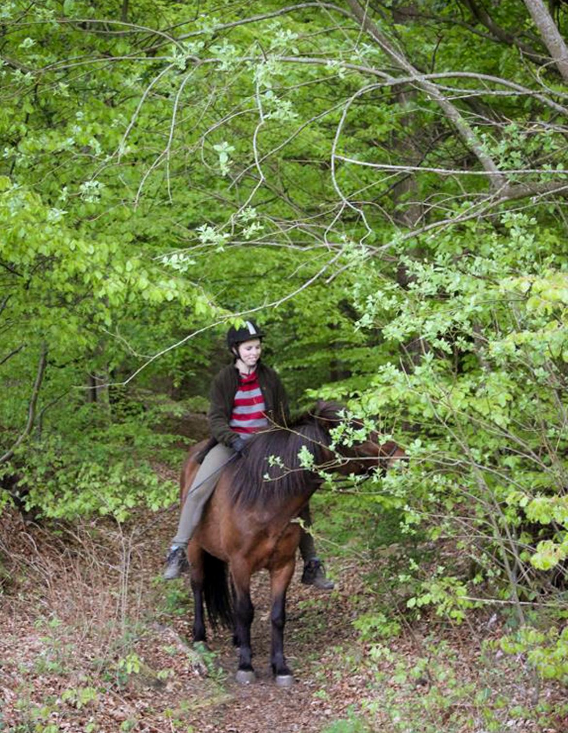 HNIE 13/14  billede 31