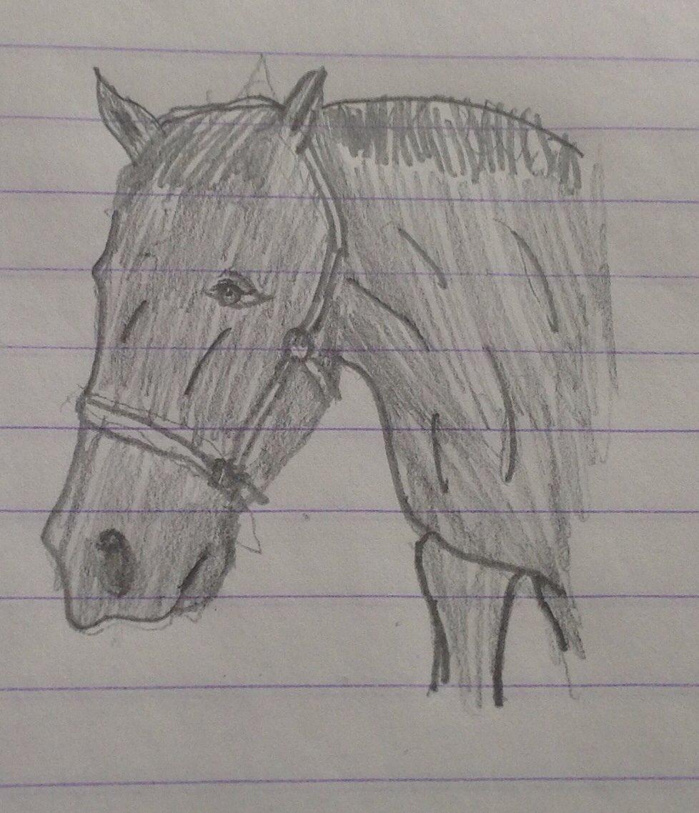 Hygge tegninger af heste:-) billede 7