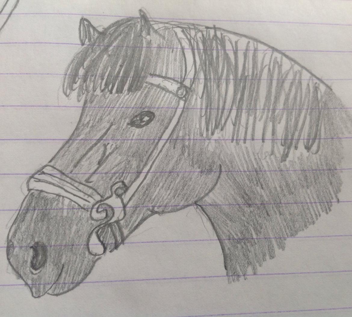 Hygge tegninger af heste:-) billede 6