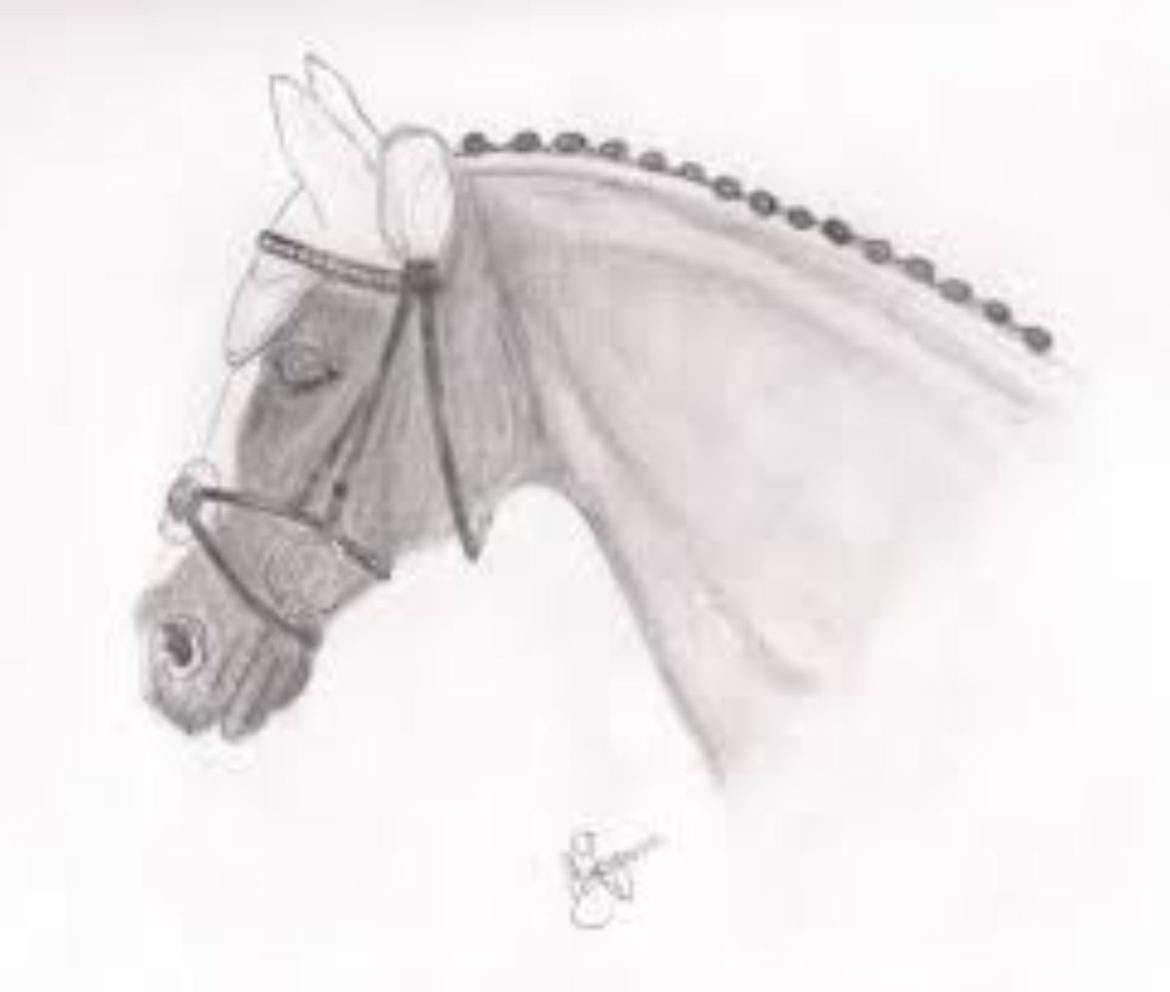 Hygge tegninger af heste:-) billede 5