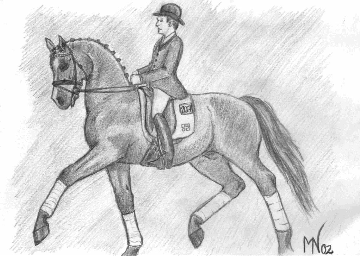 Hygge tegninger af heste:-) billede 3