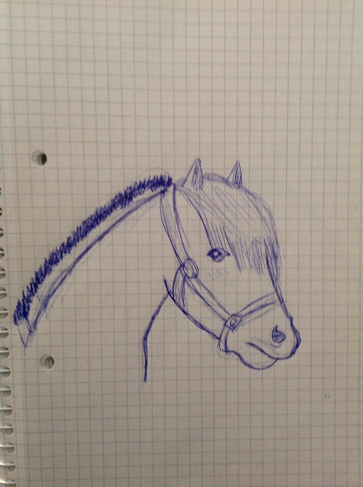 Hygge tegninger af heste:-) billede 2
