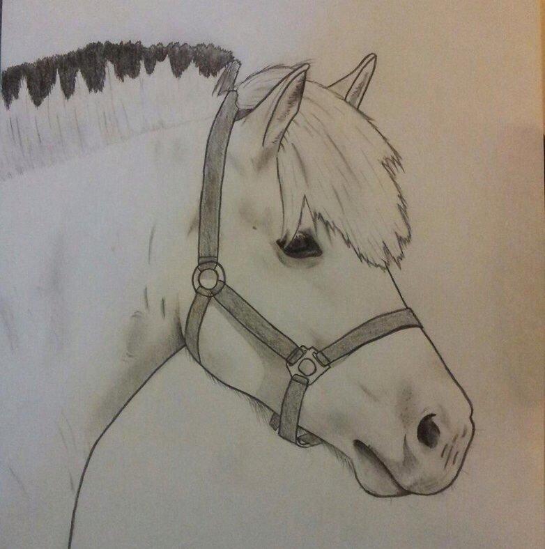 Hygge tegninger af heste:-) billede 1