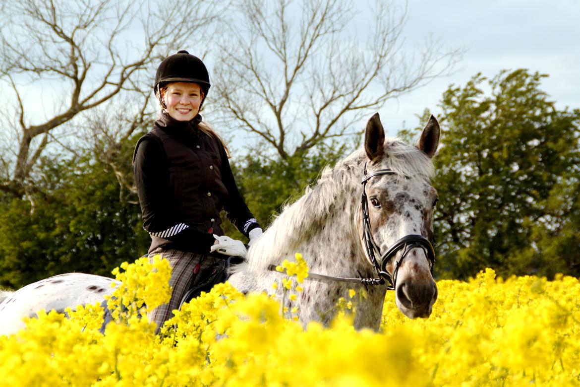 Alfred af Nyskoven - Alfred 16. maj 2014 billede 22