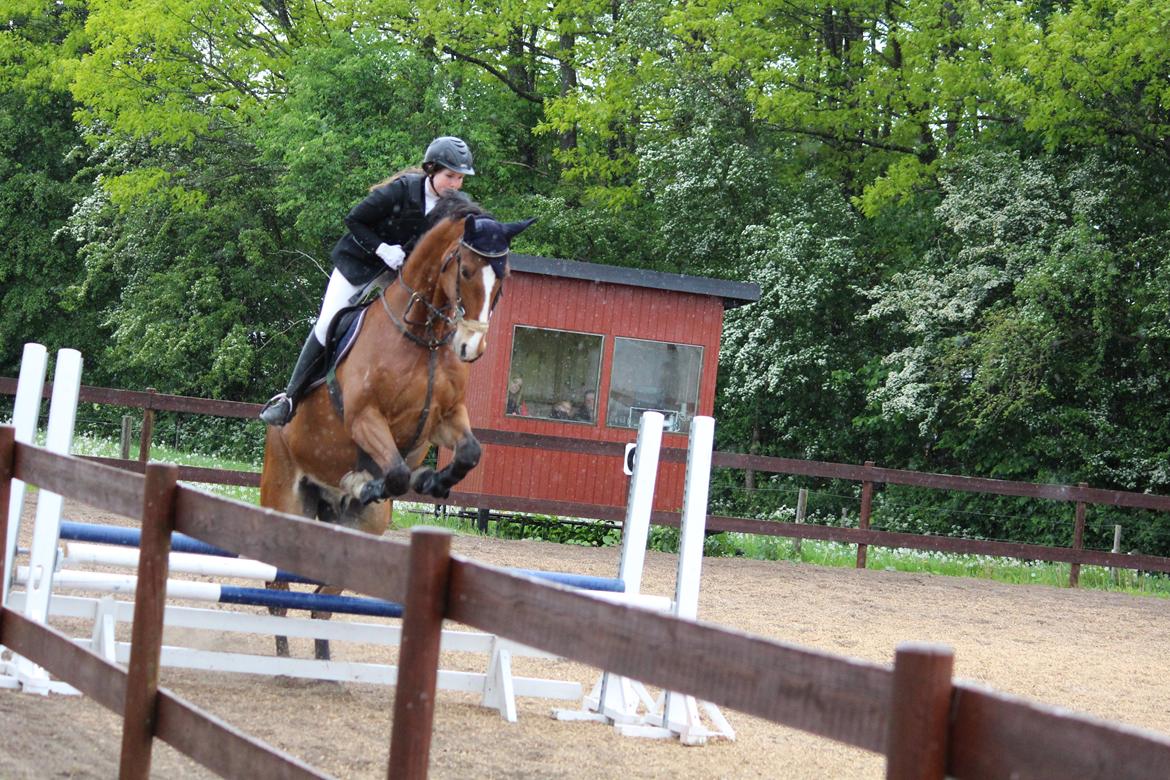 Spring stævne på Lemilio billede 2