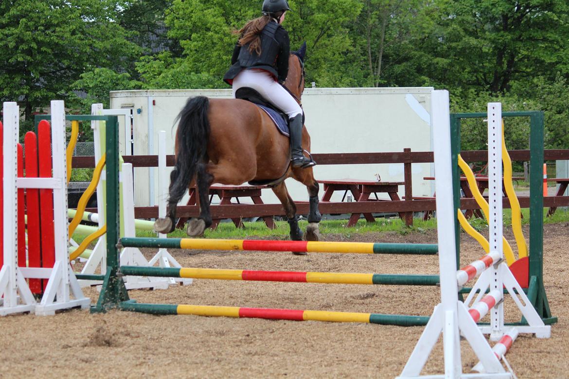 Spring stævne på Lemilio billede 3