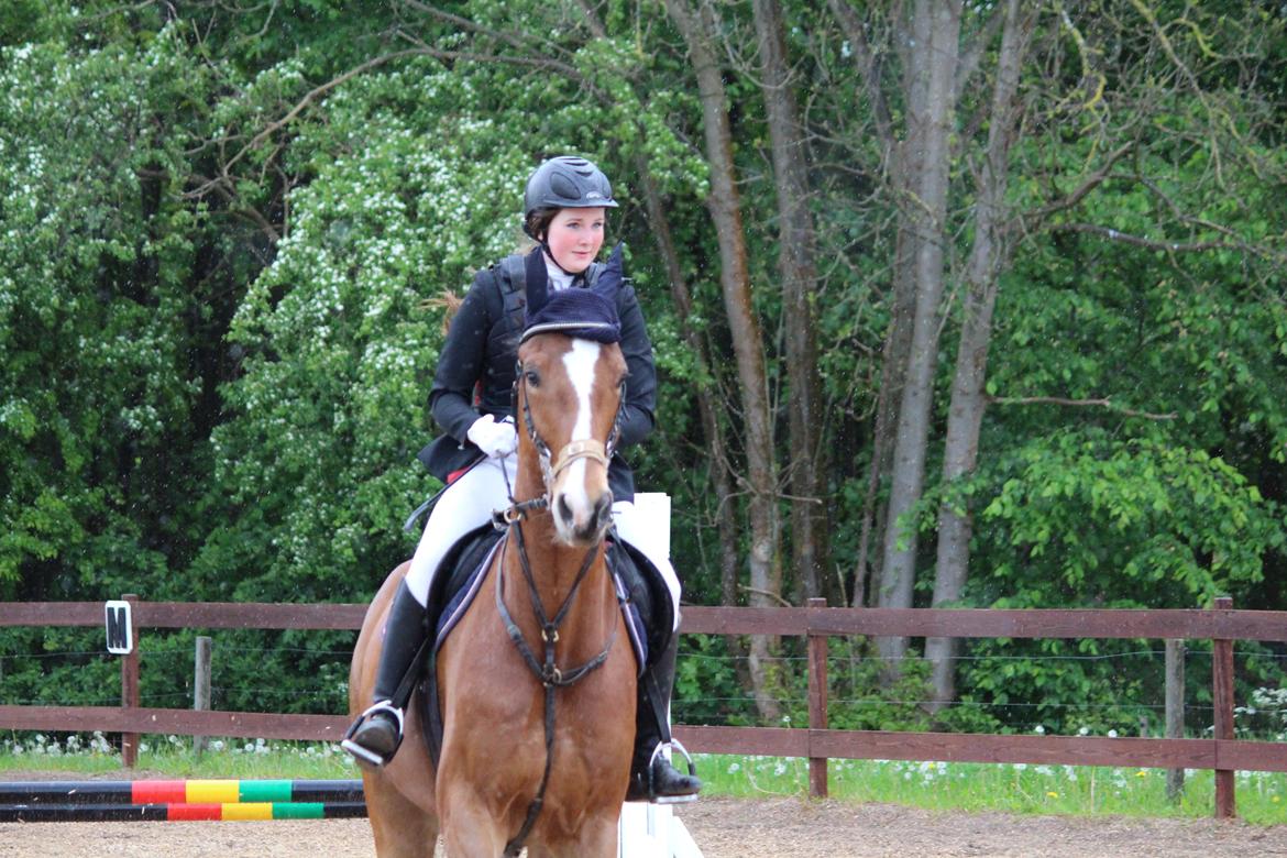 Spring stævne på Lemilio billede 4