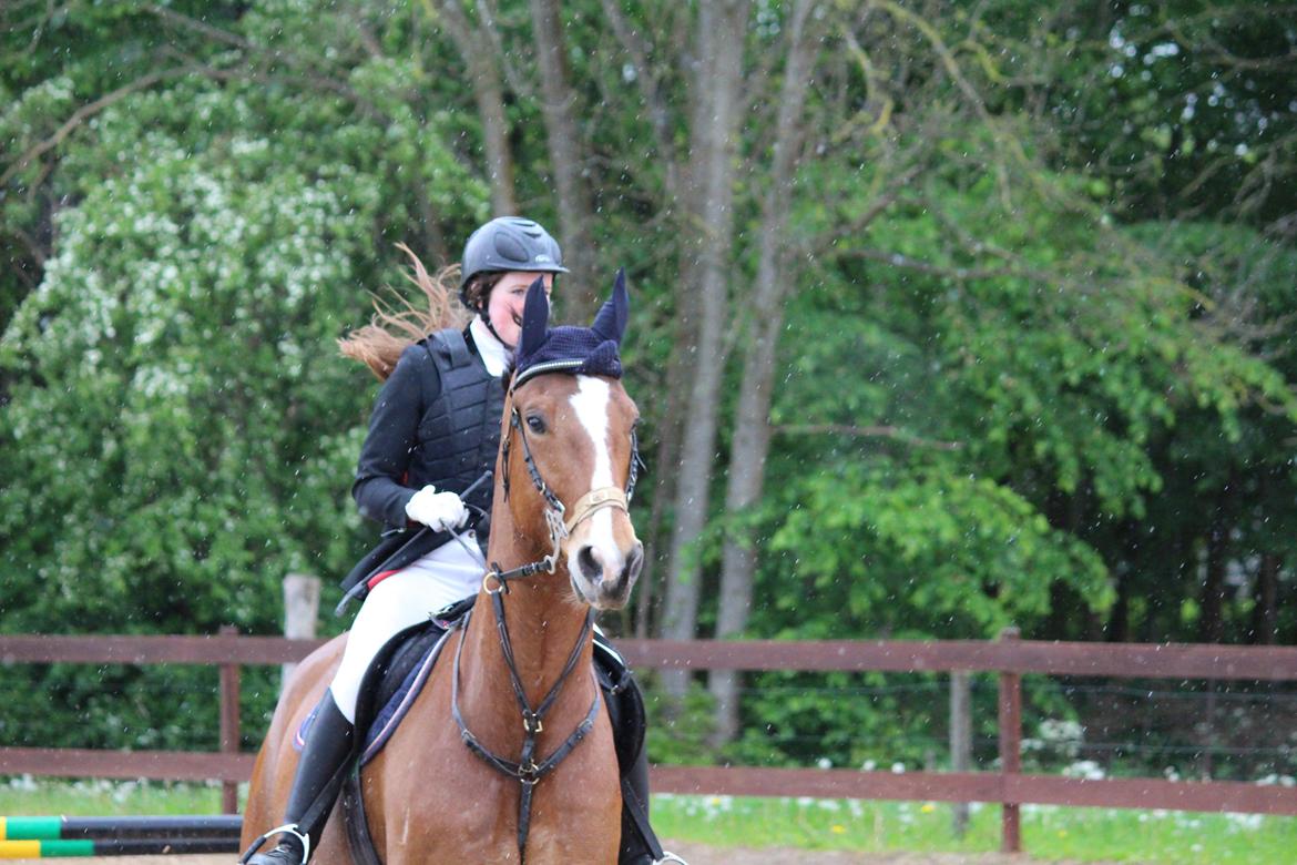 Spring stævne på Lemilio billede 5