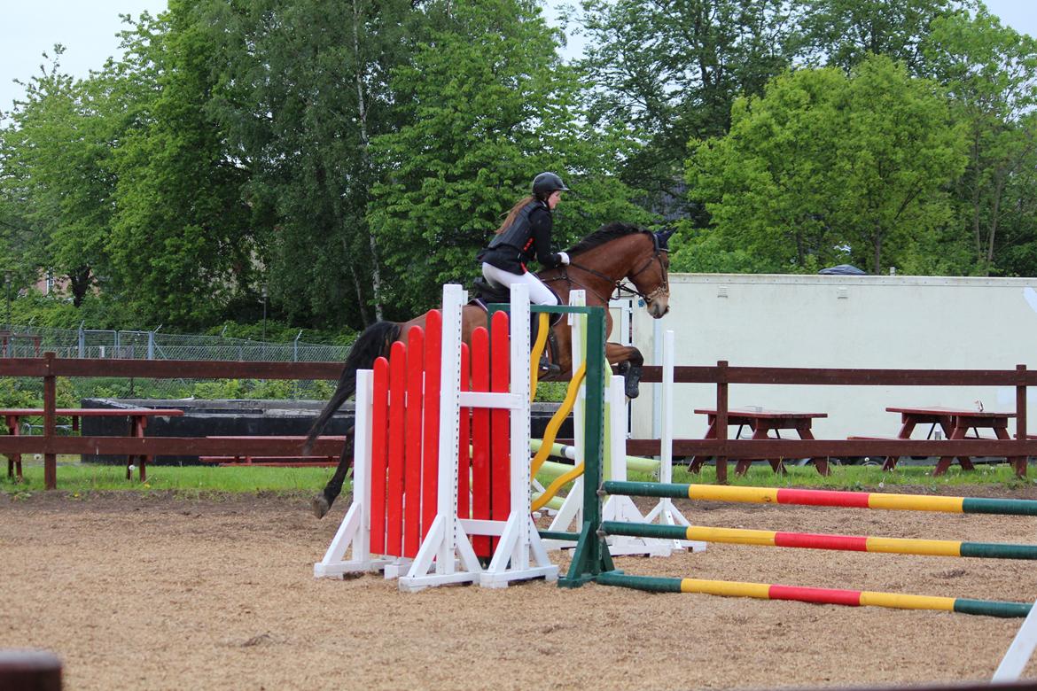 Spring stævne på Lemilio billede 6