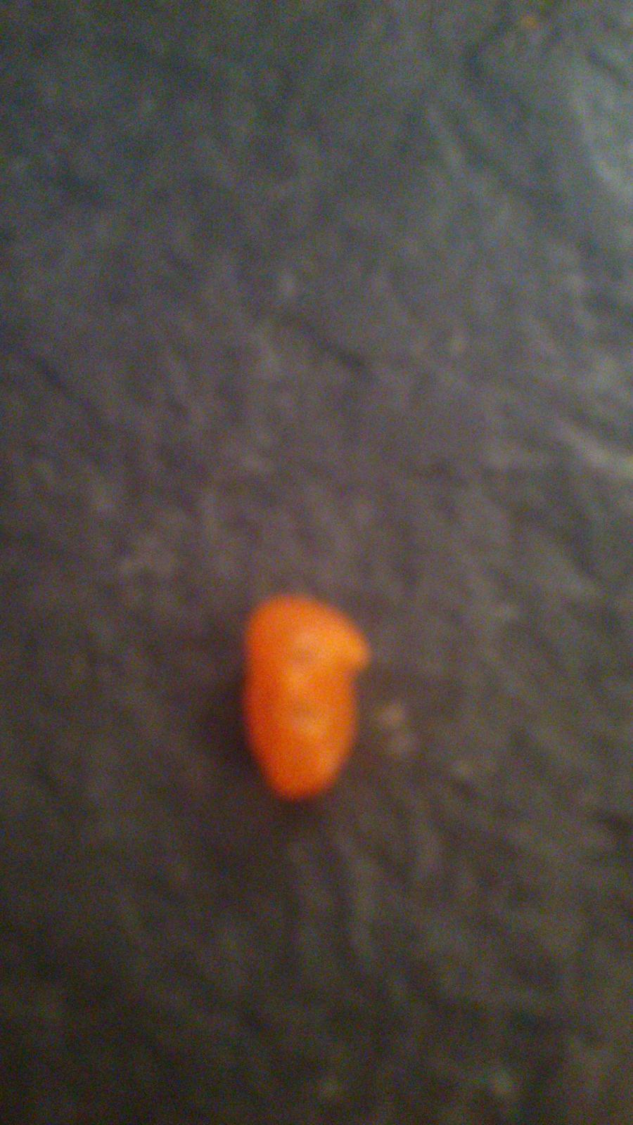 underligt mad  - samme pakke venste sær højre normal billede 14