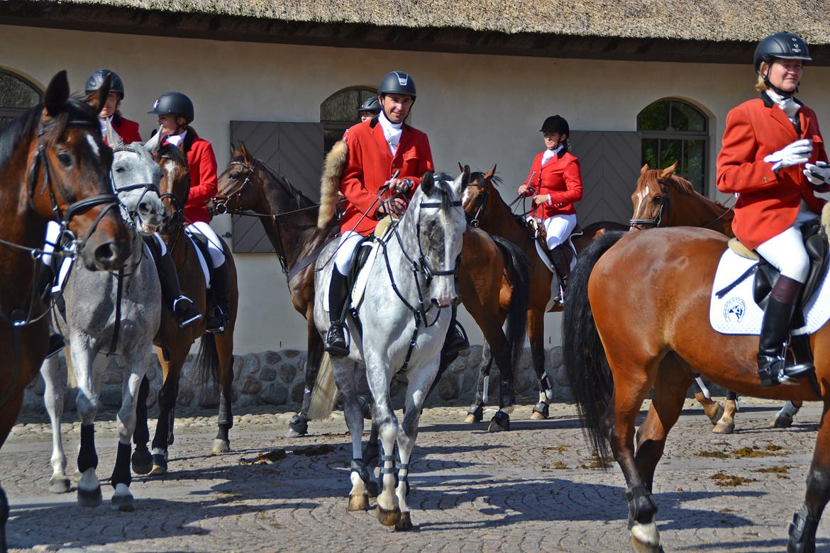 Jagt på Stald Friheden billede 2